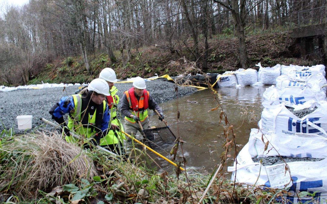 Howden Weir Rock Ramp – Protecting the River