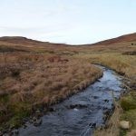 Spotting Redds in the Allan Water Catchment