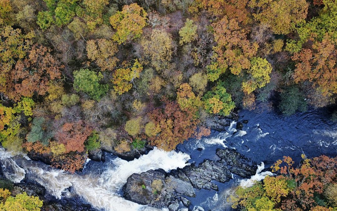 Guided Salmon Walk – Callander