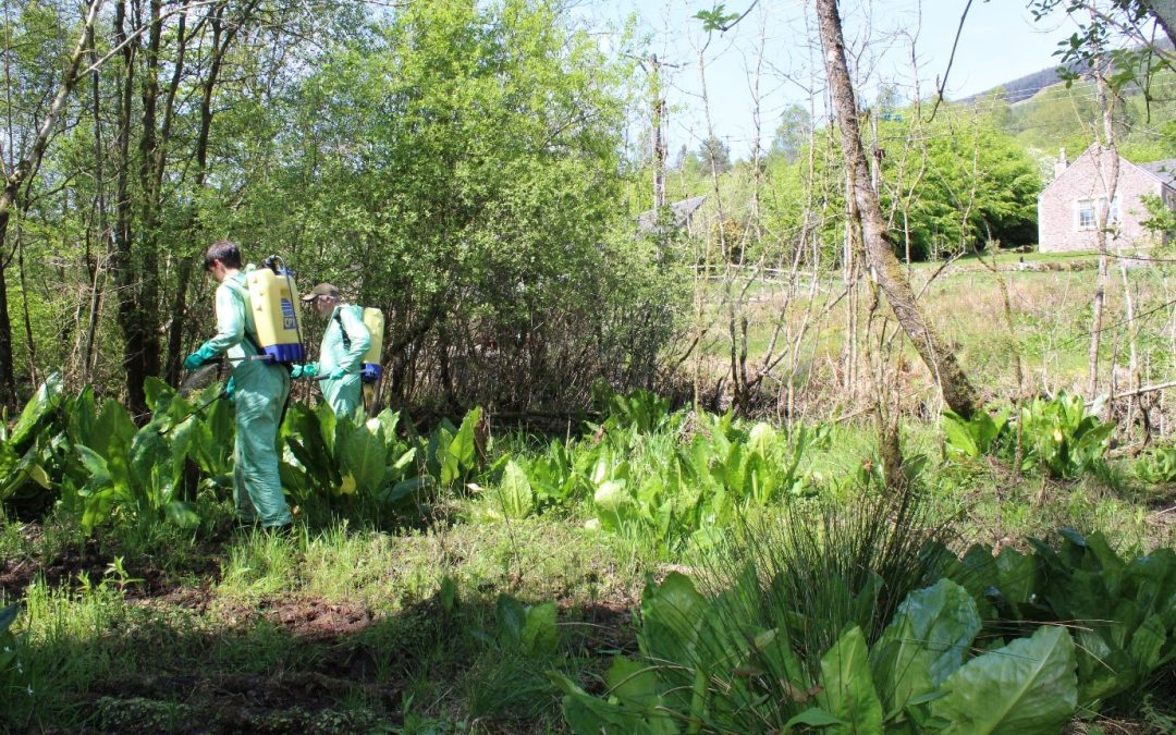 Invasive Species Workshop 28th August Fife