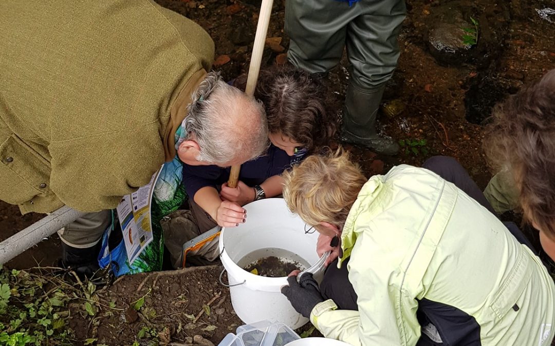 Forth Rivers Trust Science Week 06/04/2020