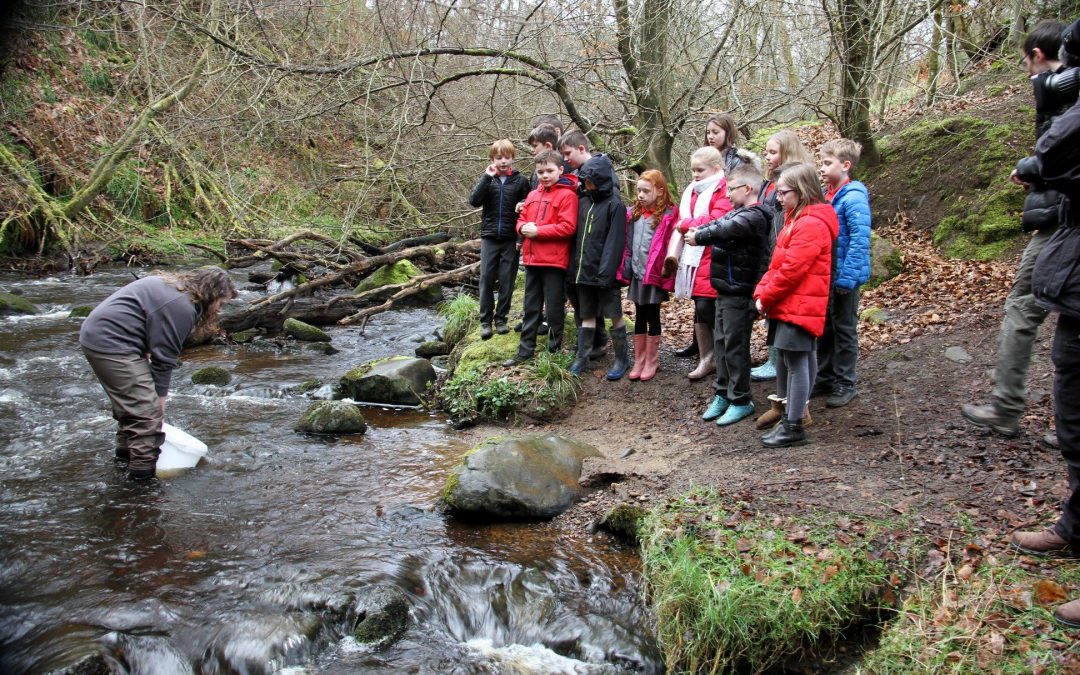 Fish in the Class Crowdfunder