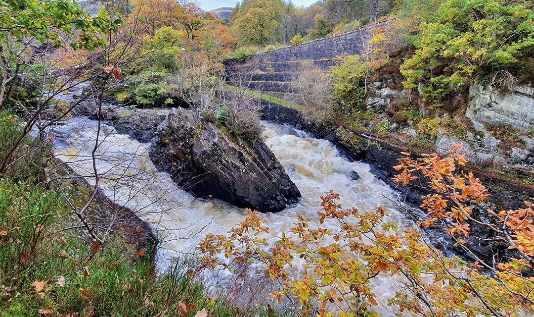 World Fish Migration Day – Wild Salmon Watch Walk, Falls of Leny