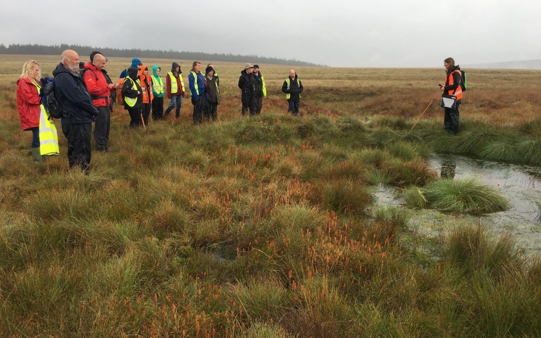 Peatland Training Course at Dunruchan