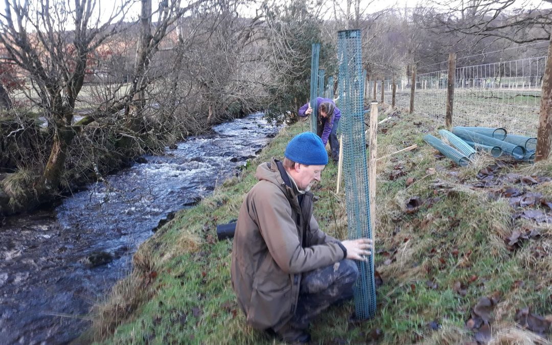 Leny Burn Fencing Project