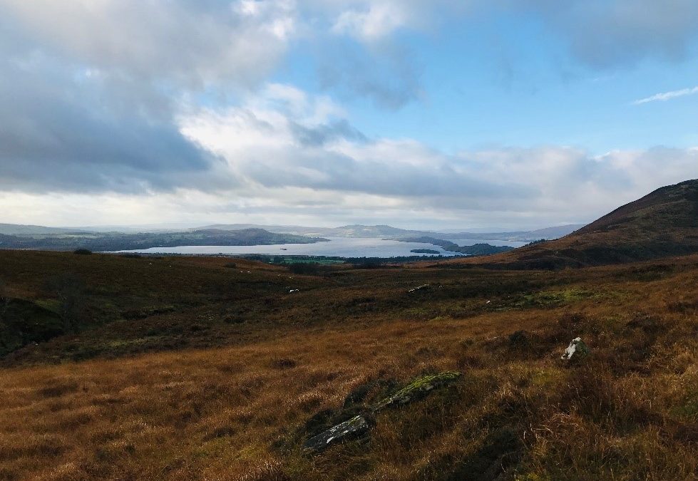 Trossachs Water Vole Project Update