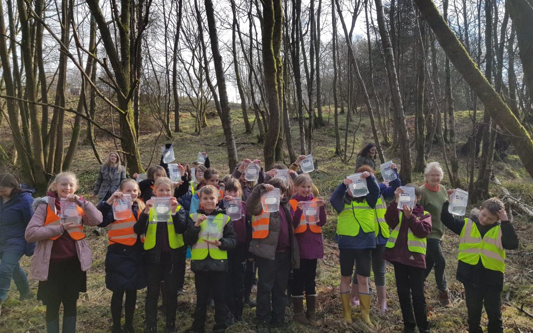 Delivering Fish in the Classroom during Covid
