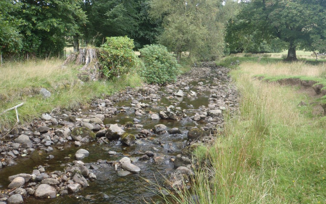 Salmon Productivity in the Forth District