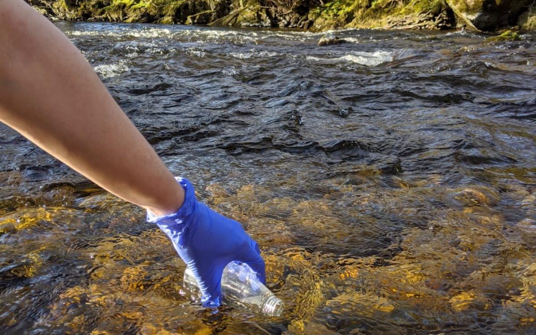 eDNA surveying: a new approach to monitoring biodiversity