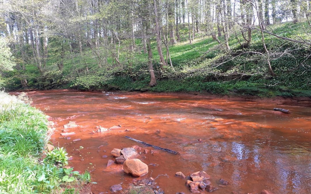 A tale of two rivers: Fish monitoring in the North and South Esks