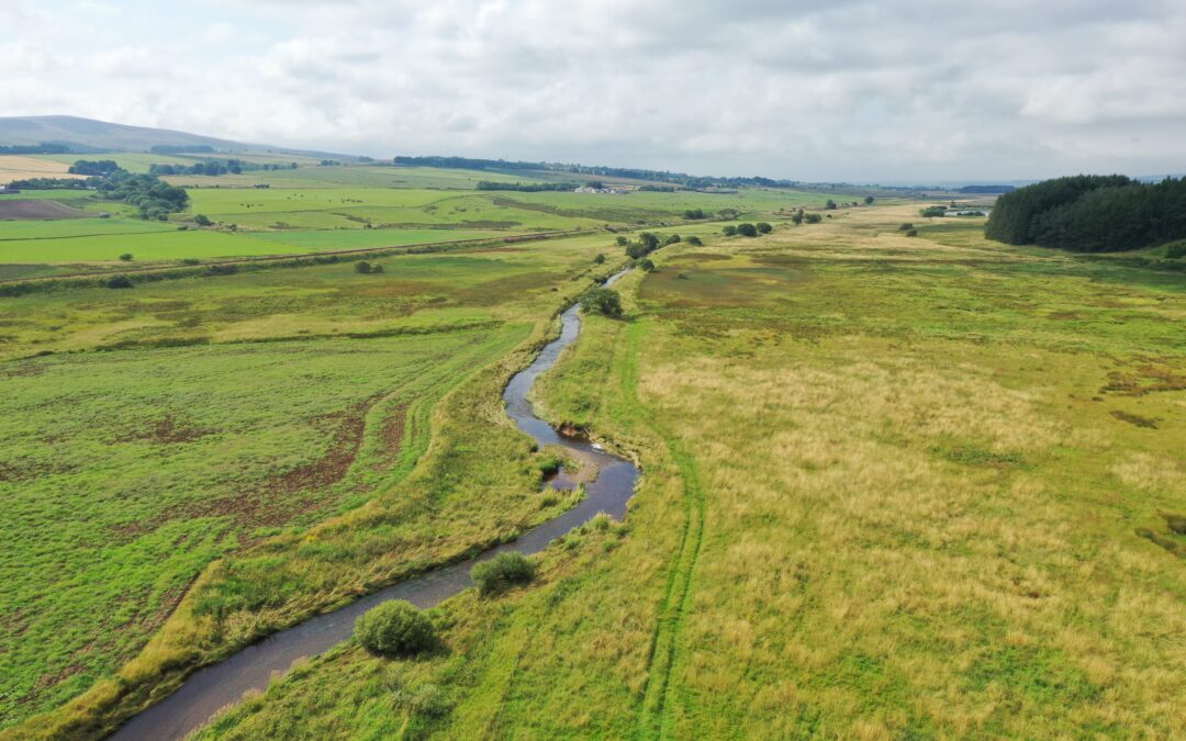 Revive the Allan – Biodiversity Challenge Fund