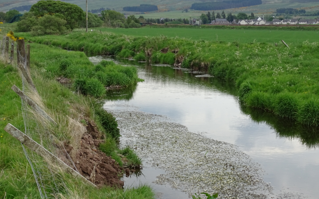 Improving Rivers with Nature Based Solutions