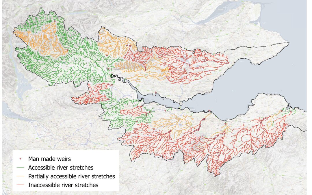 World Fish Migration Day – Barriers to Fish Migration