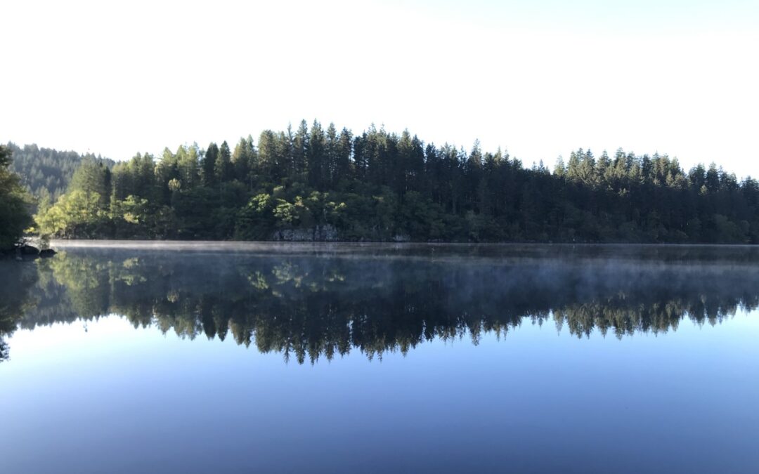 Trossachs Water Vole Project – Safely Volunteering in 2021