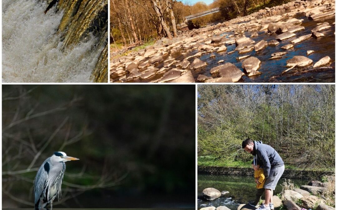 Resilient Rivers Photography Competition