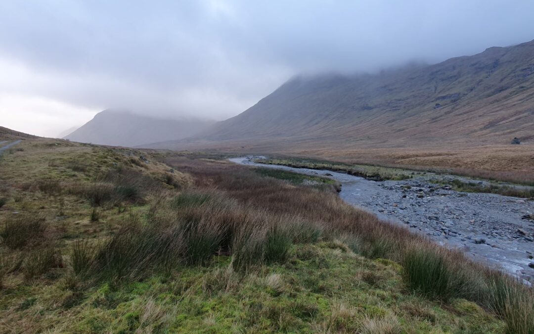 River Teith Catchment Project Biodiversity Challenge Fund