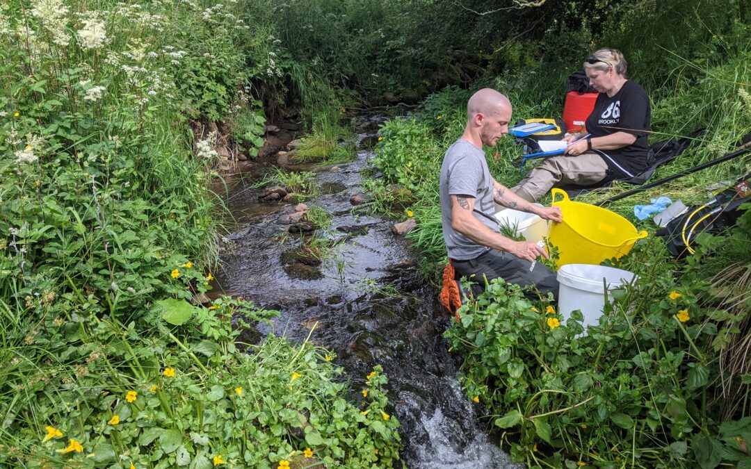 National Electrofishing Programme for Scotland 2021 – Forth
