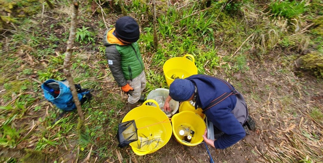 Smolt monitoring in the Teith catchment