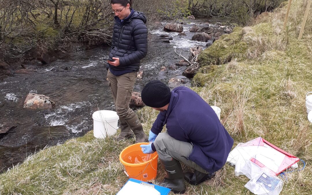 Teith Catchment Project Monitoring