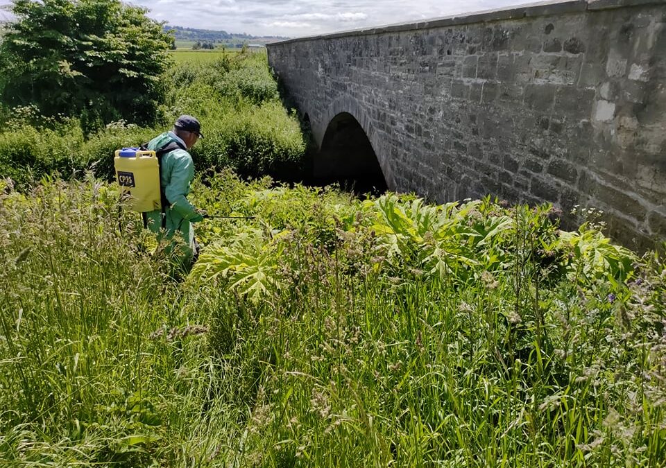 Invasive Species Control 2021