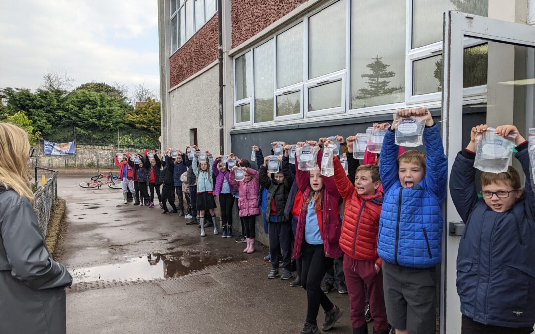 Fish in the class 2022 comes to an end