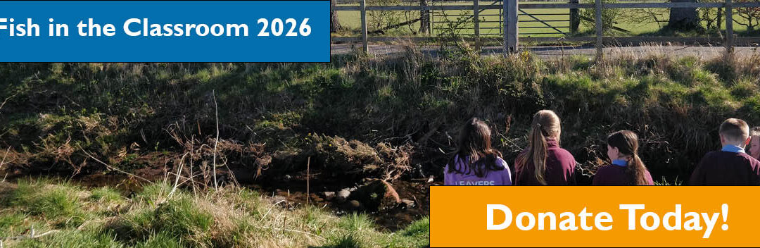 Fish in the Class Crowdfunder 2026 launched