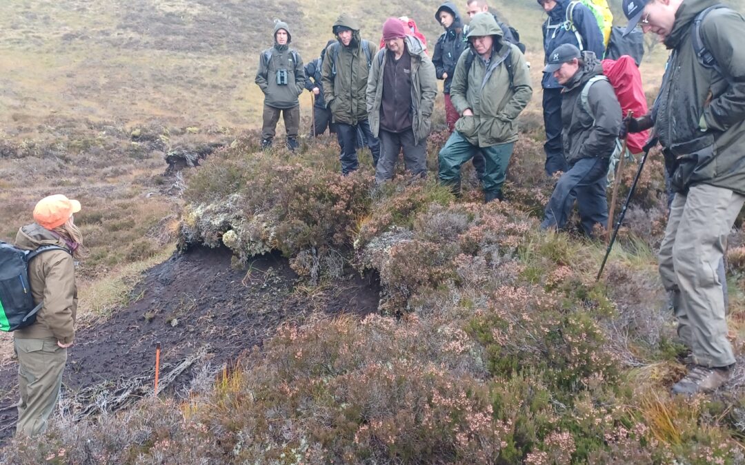 Peatland learning with NatureScot and Crichton Carob Centre