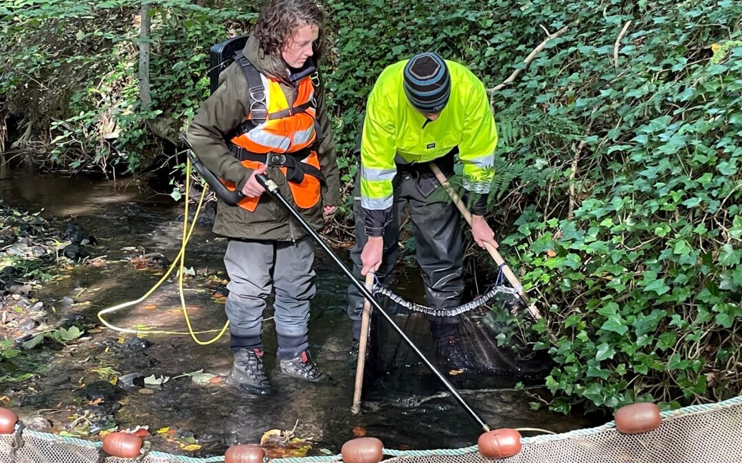 Recruitment – Field Assistant