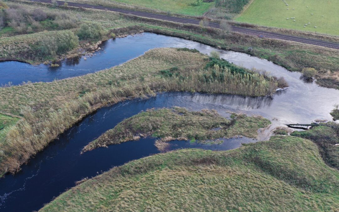 Nether Cambushinnie Bank Protection – November 2022 Update