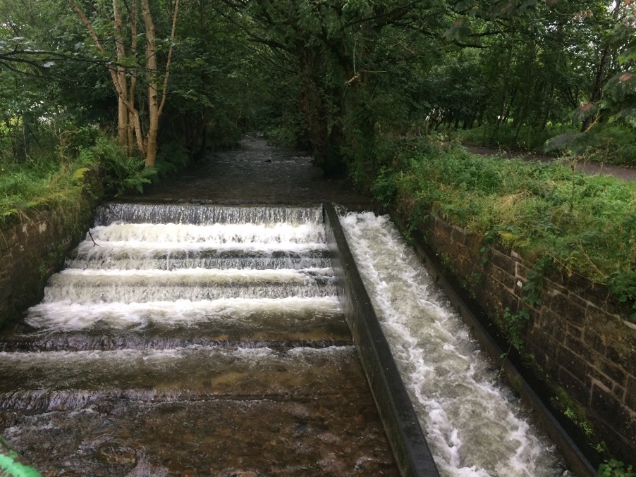 image shows a stepped weir with water rushing downstream, and on the right hand side a structured corridor with water travelling along it, a fish pass for fish to travel along and reach upstream.