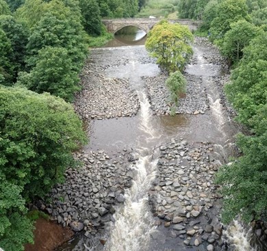 Image shows trees either side with a river at the centre, with layers of rocks and gravel creating smaller corridors of water and pools joining these which allow fish to travel along the river.