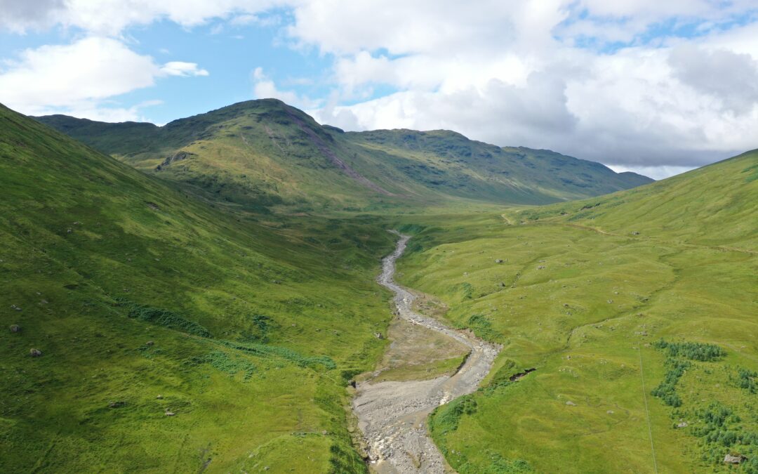 Water Scarcity – 30 Days Wild – Wild Takeover Day 13