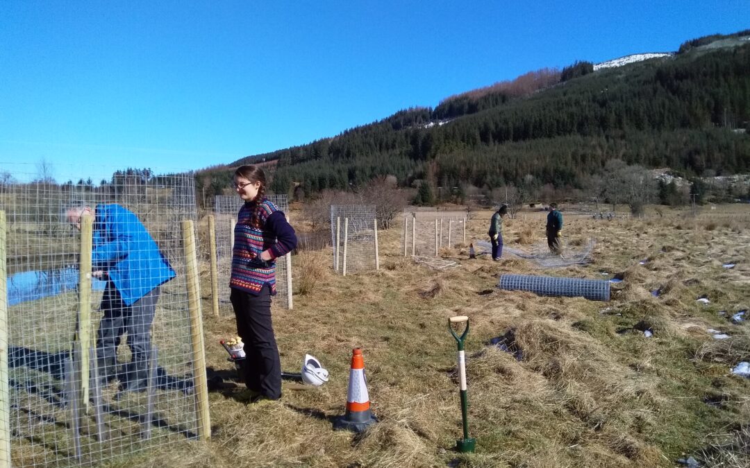 Nature Restoration Fund awards over £400k for Forth Catchment Rejuvenation