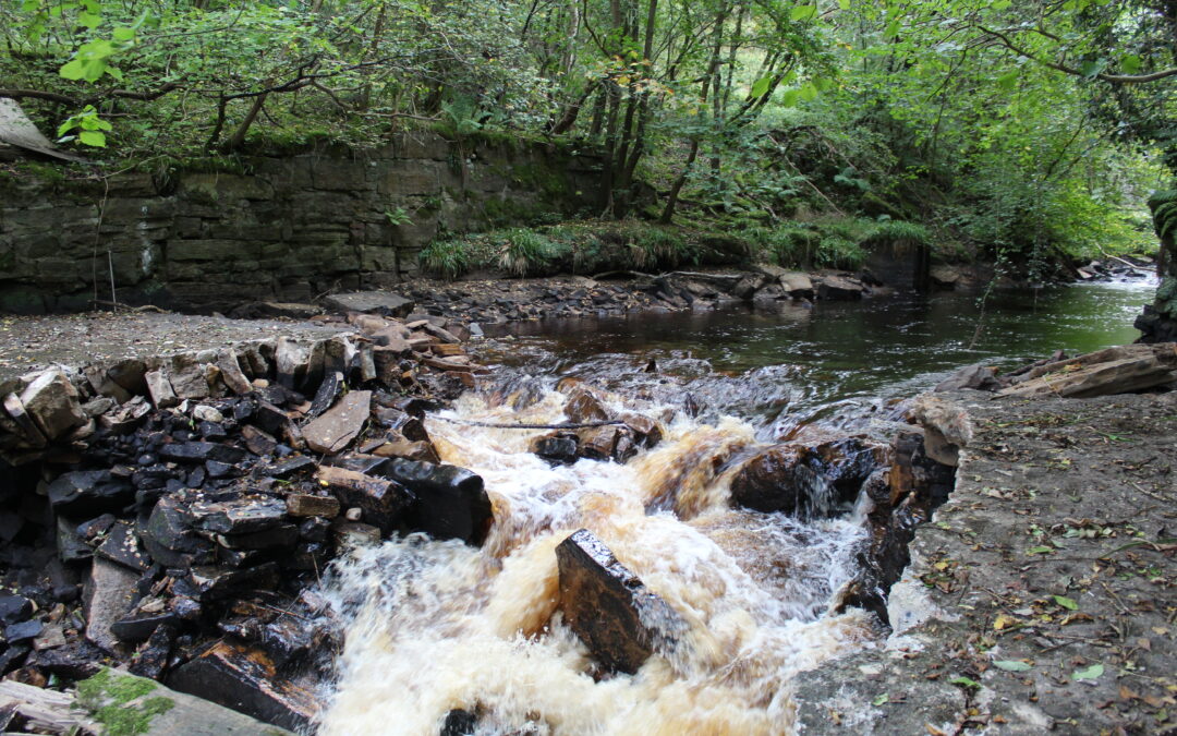 Morton Quarry Weir Removal – a helping hand for nature