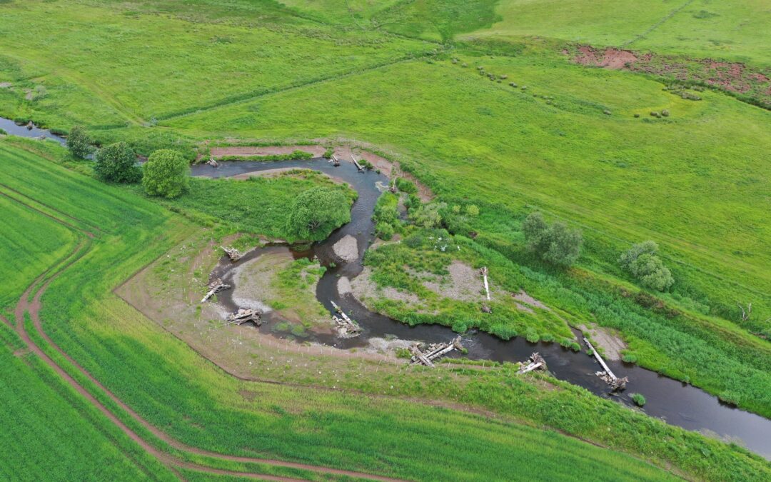 Forth Rivers Trust Nominated for Peoples Choice Award
