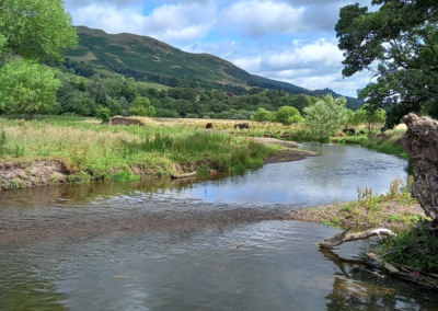 Protected: River Devon Restoration Project