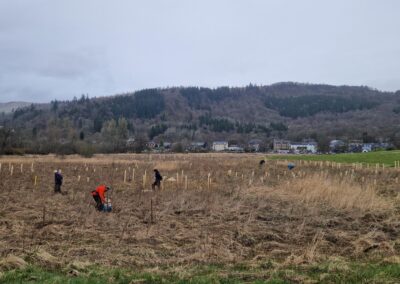 Callandrade Meadows Tree Planting