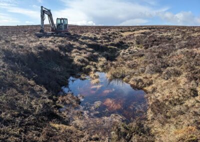 Knoxfauld Peatland Restoration Project