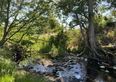 Protected: Creating Climate Resilient River Partnerships